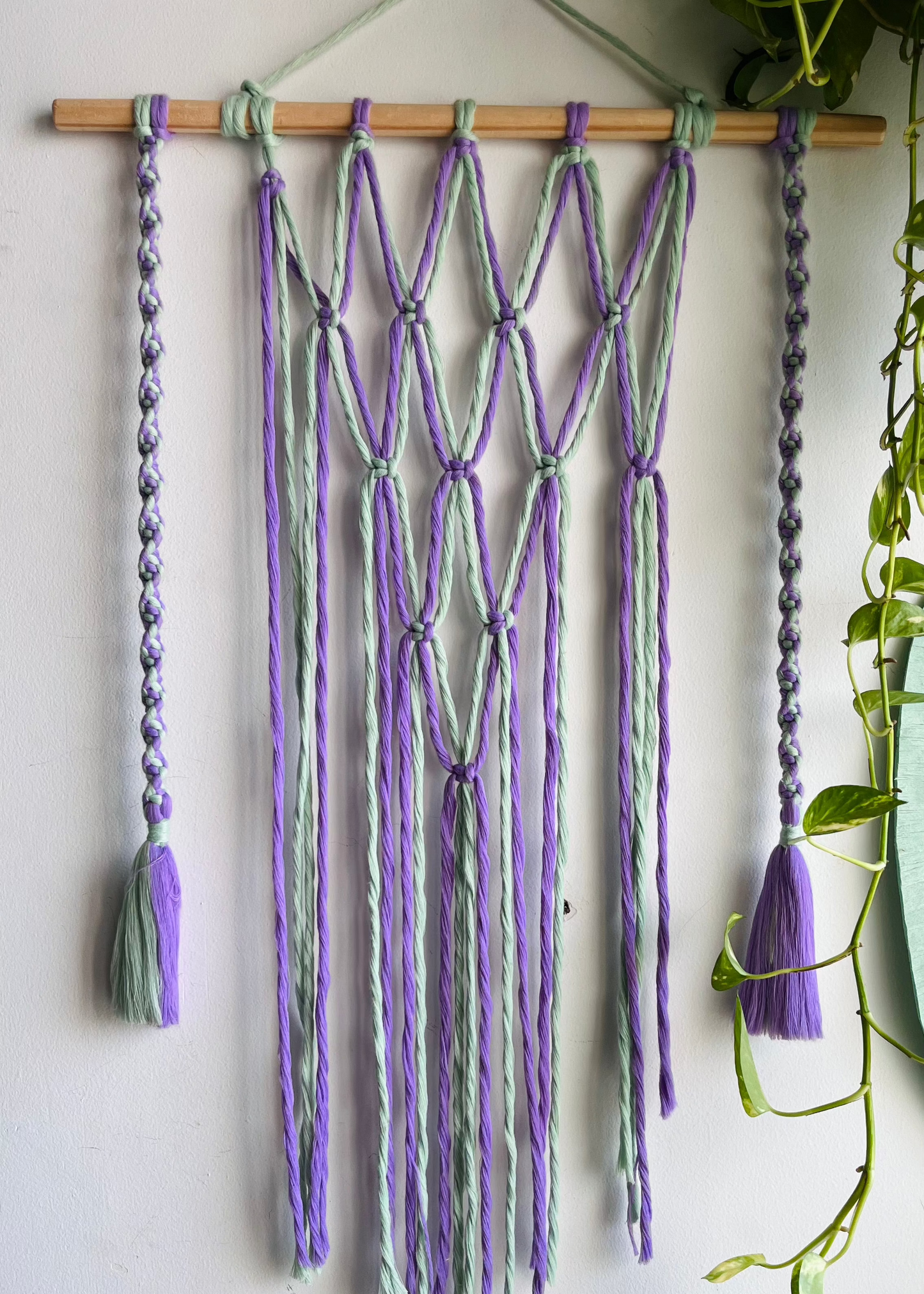 Macrame Small Picture hanger comes with 10 clips