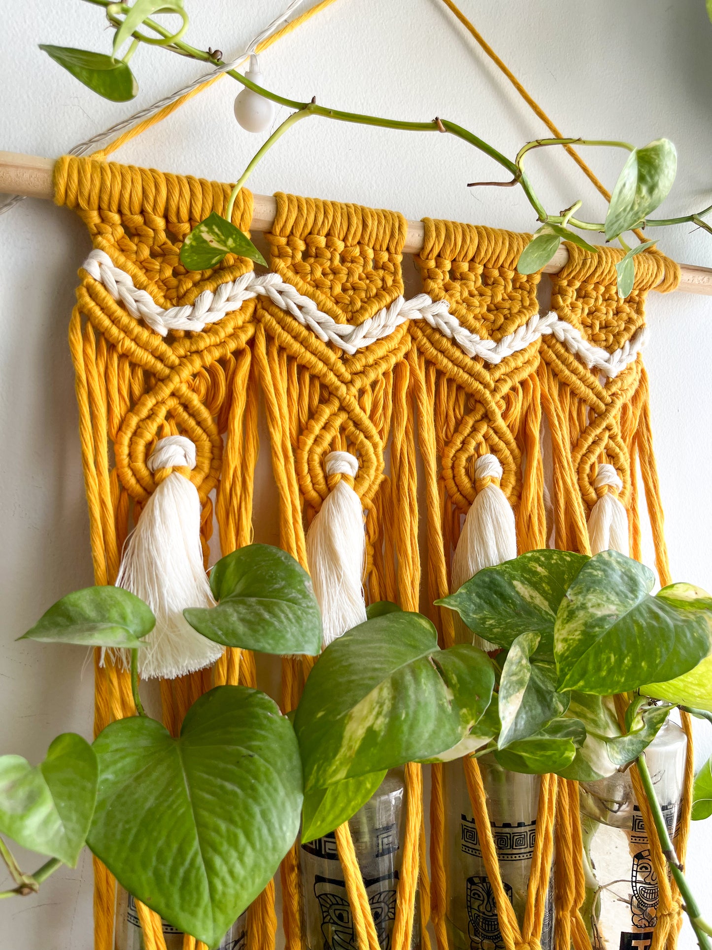 Macrame Propagation Centre