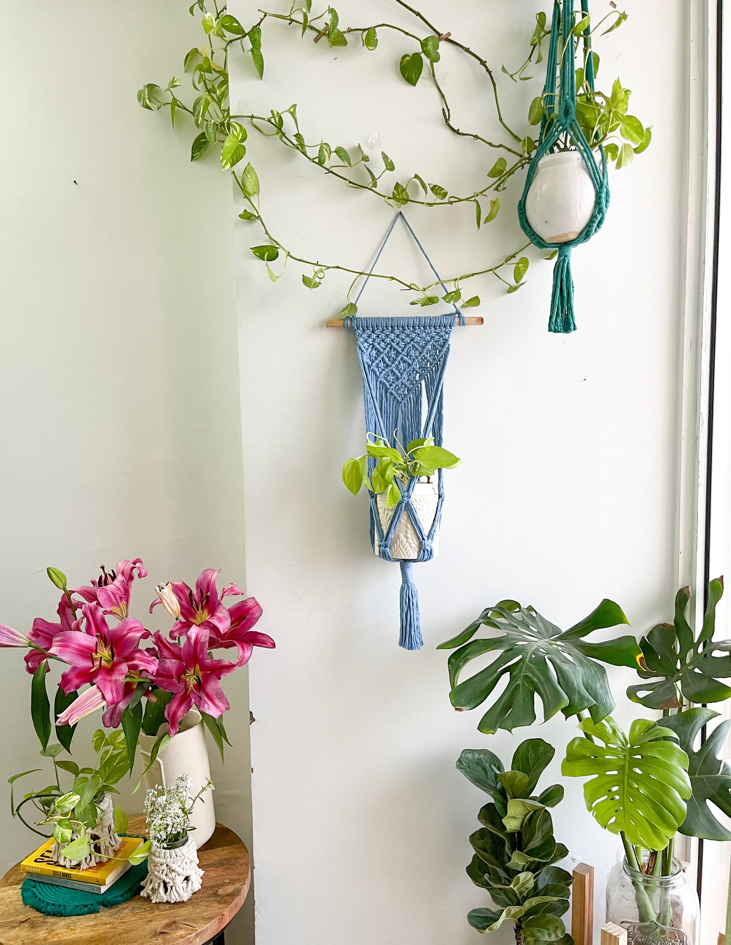 Macrame Wall Plant Hanger