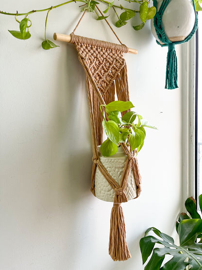 Macrame Wall Plant Hanger