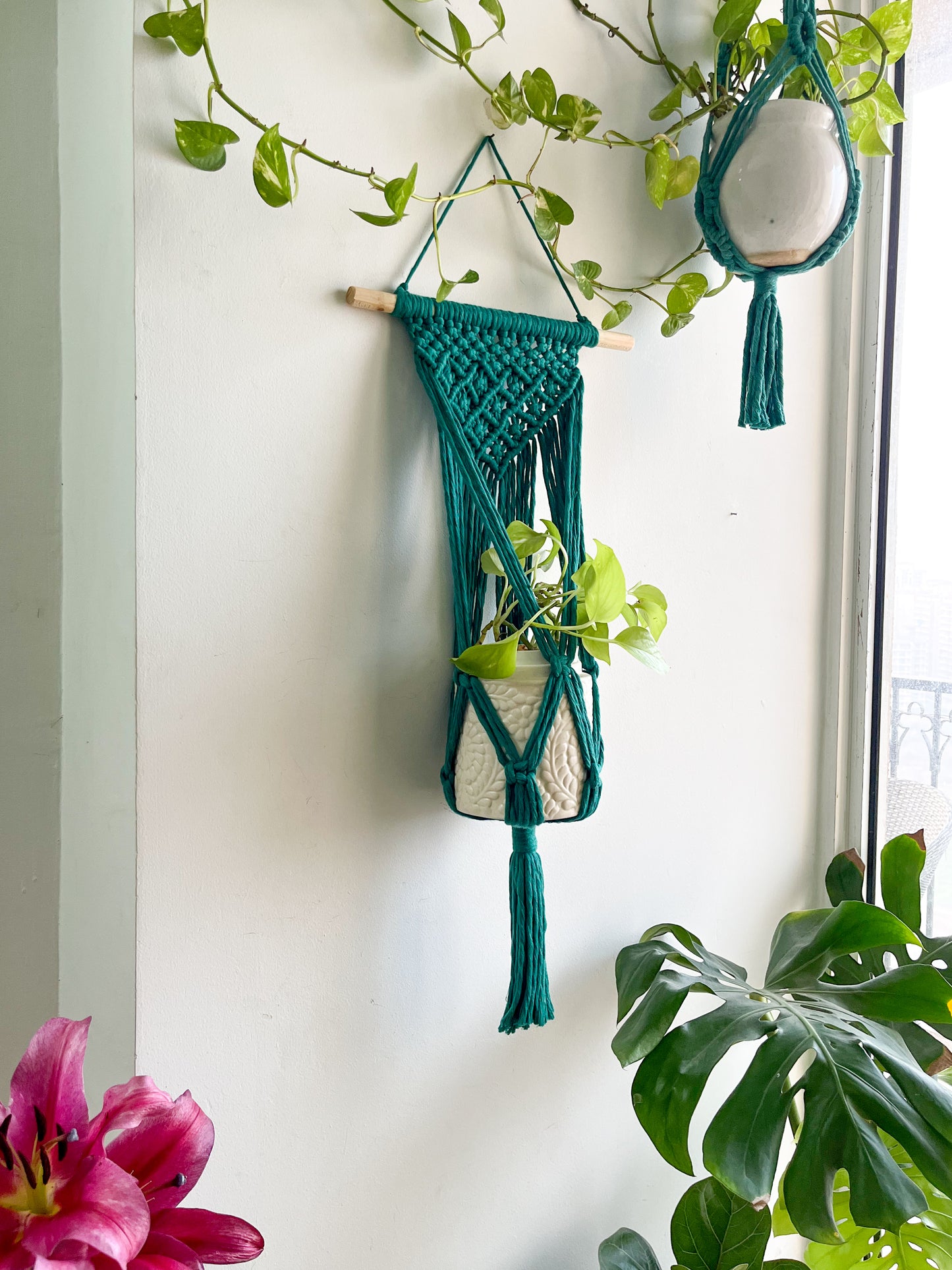 Macrame Wall Plant Hanger