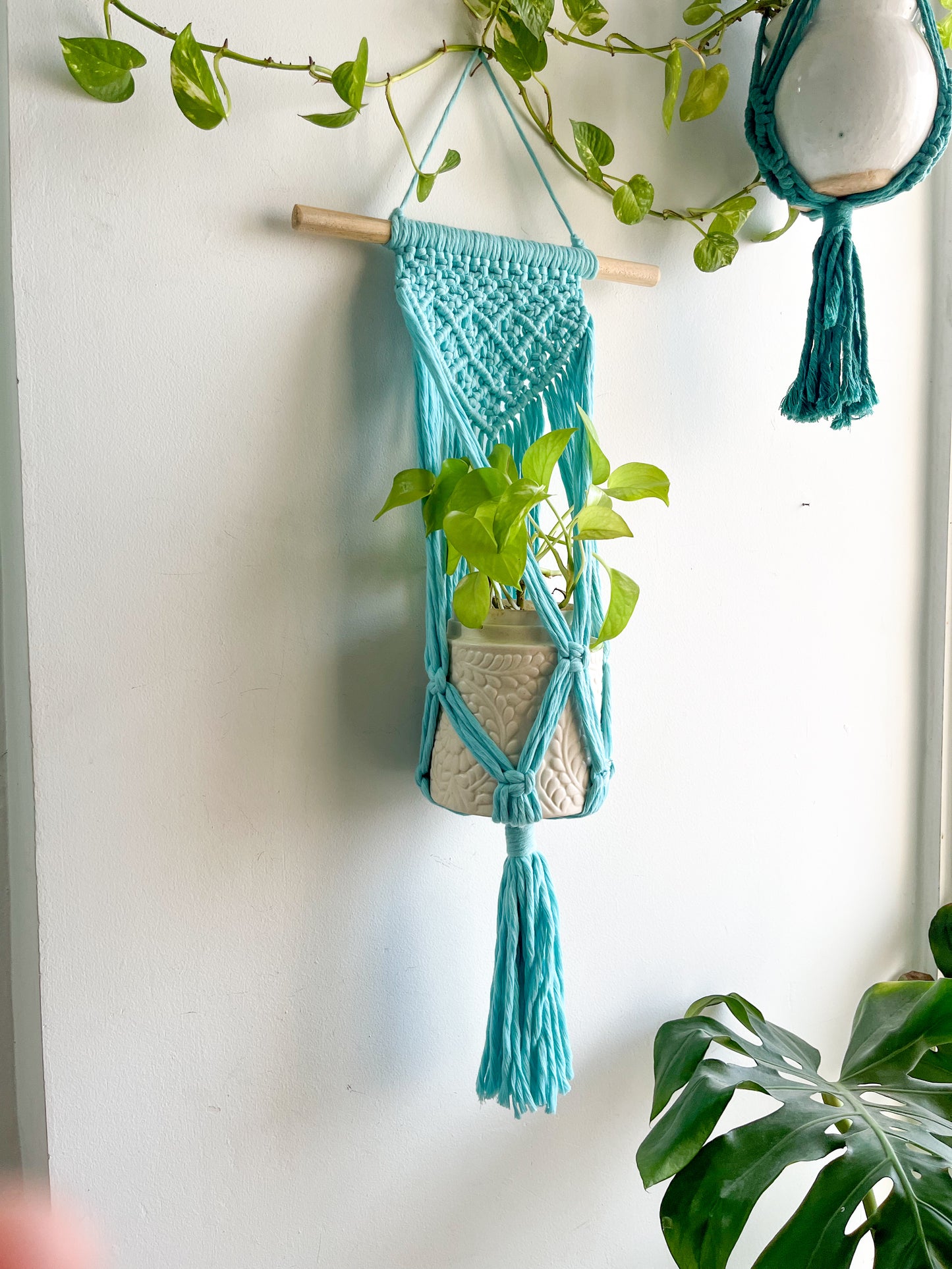 Macrame Wall Plant Hanger