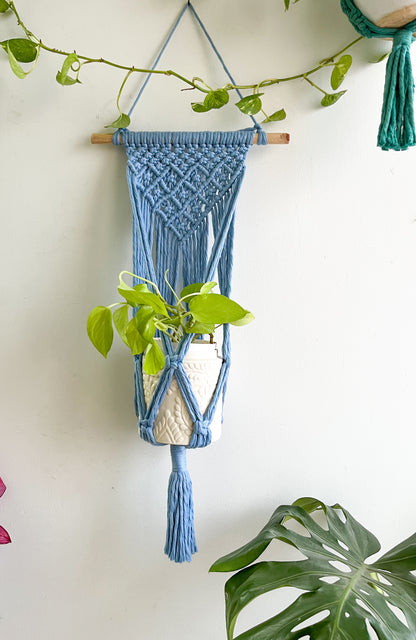 Macrame Wall Plant Hanger