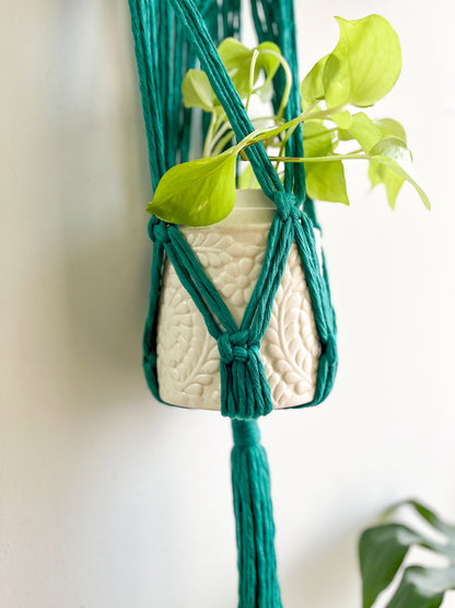 Macrame Wall Plant Hanger