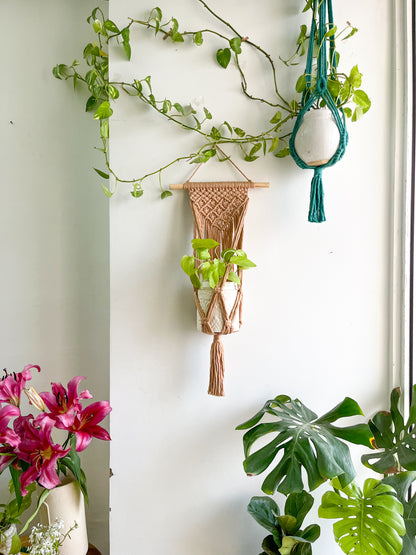 Macrame Wall Plant Hanger