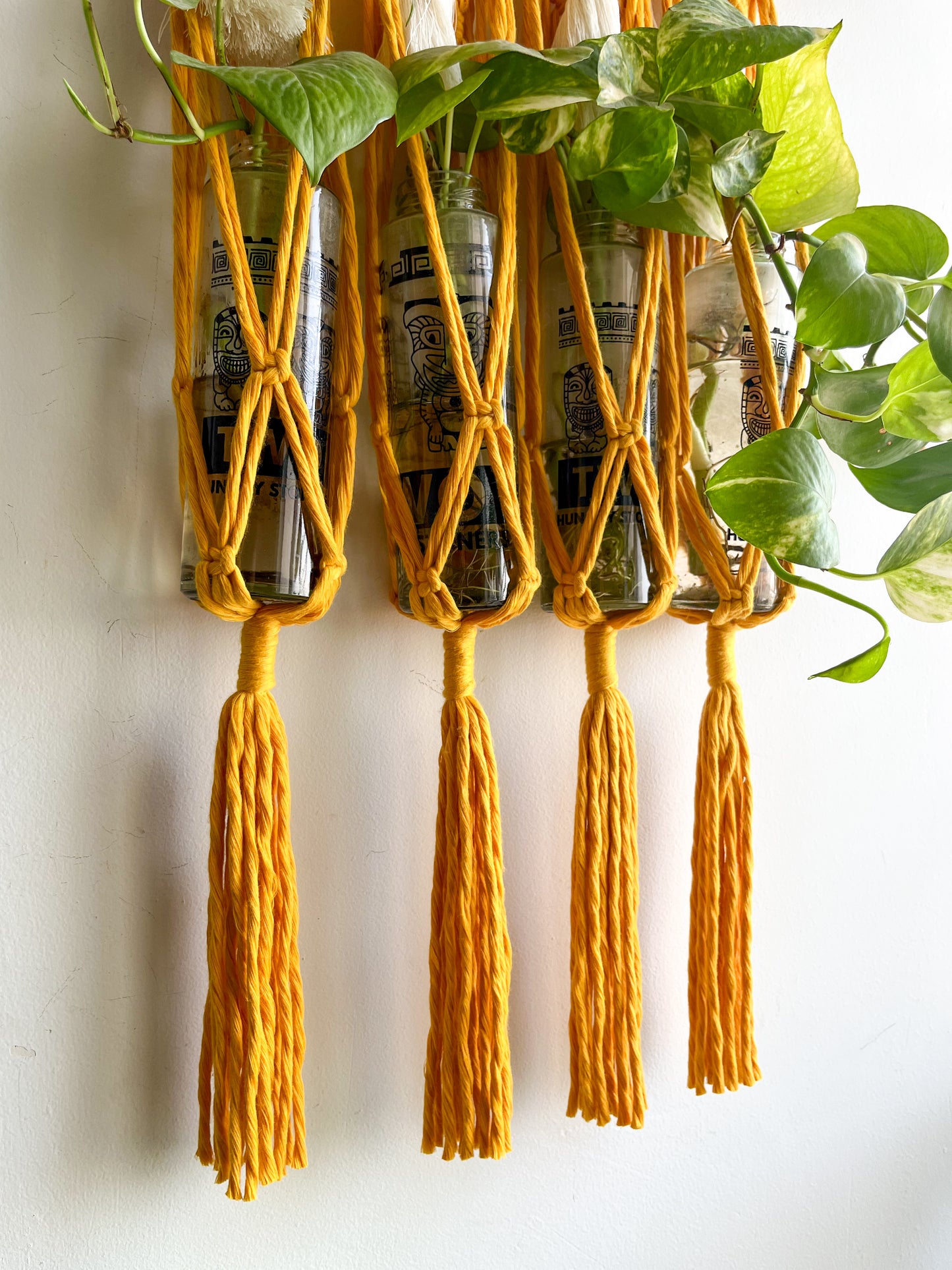 Macrame Propagation Centre