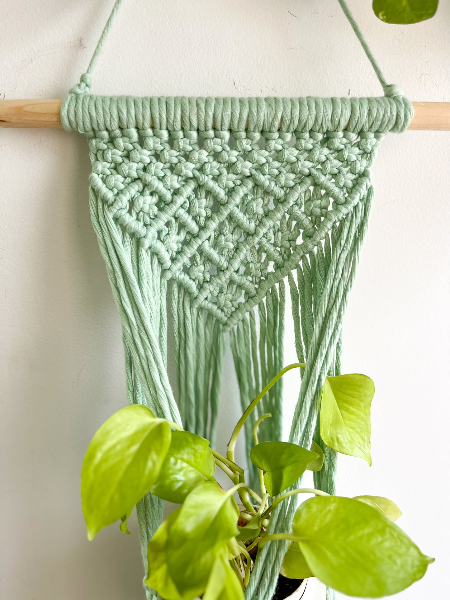 Macrame Wall Plant Hanger