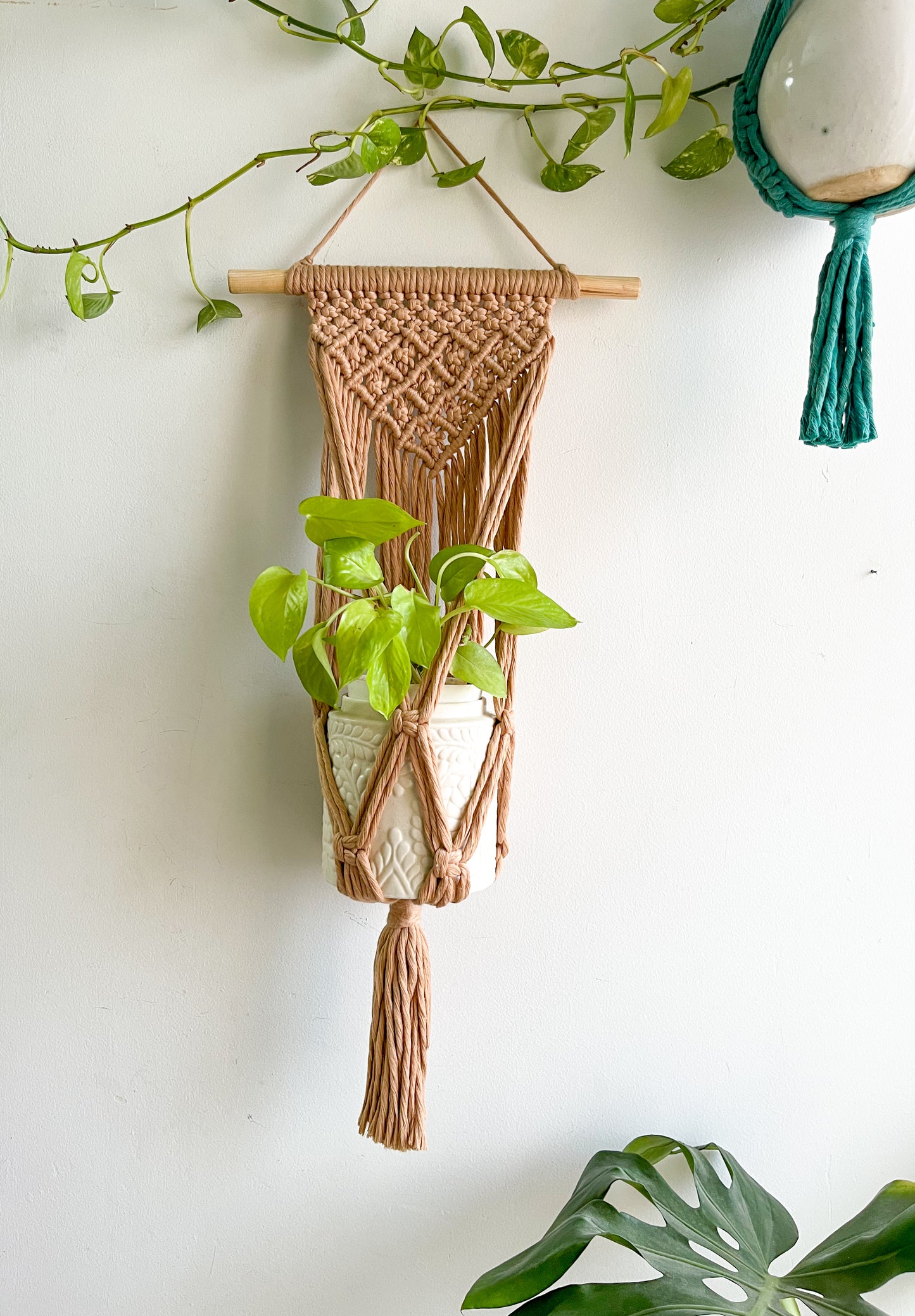 Macrame Wall Plant Hanger