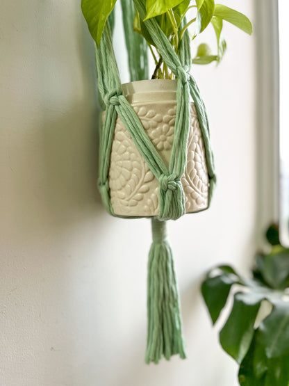 Macrame Wall Plant Hanger