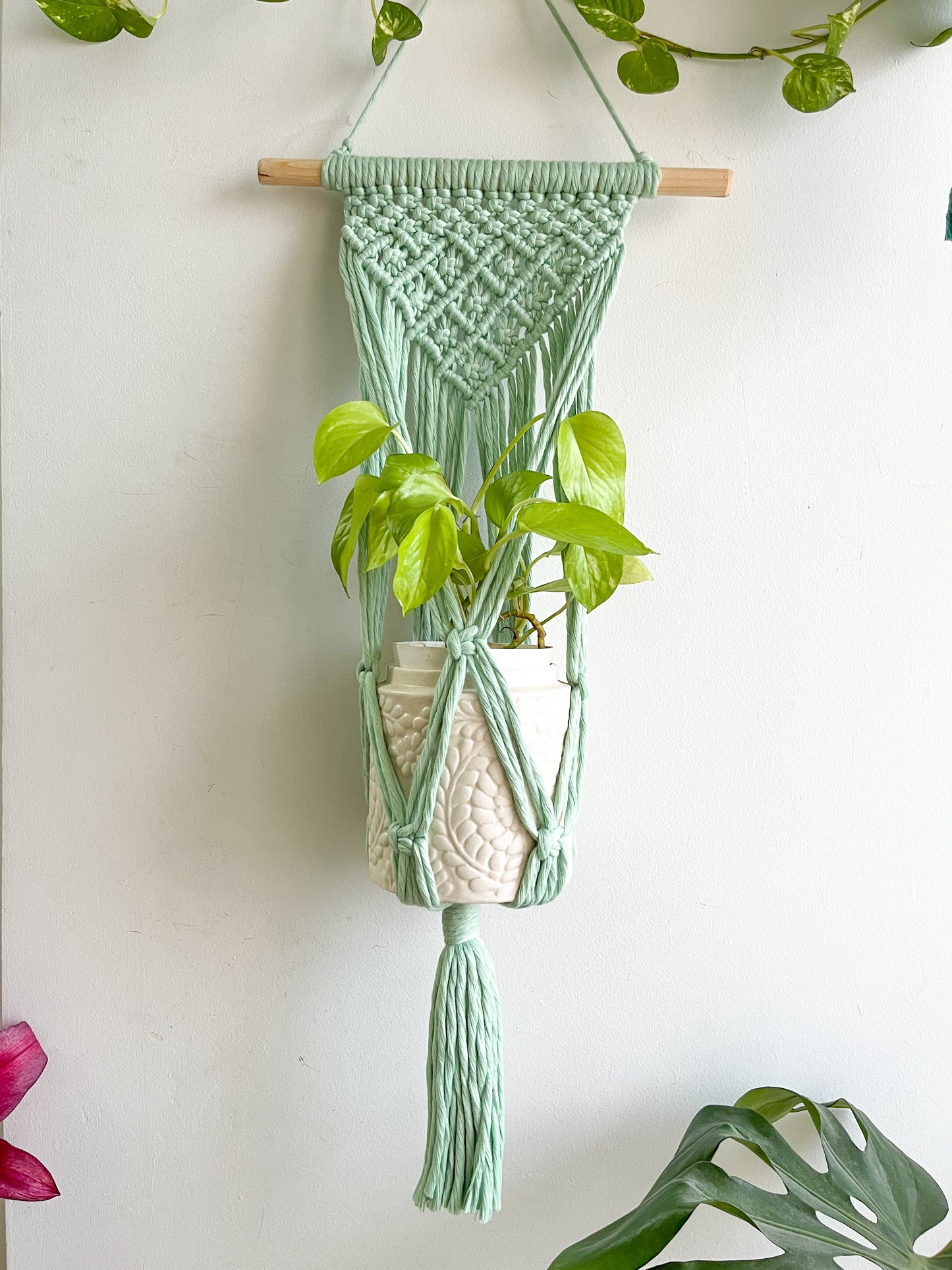 Macrame Wall Plant Hanger