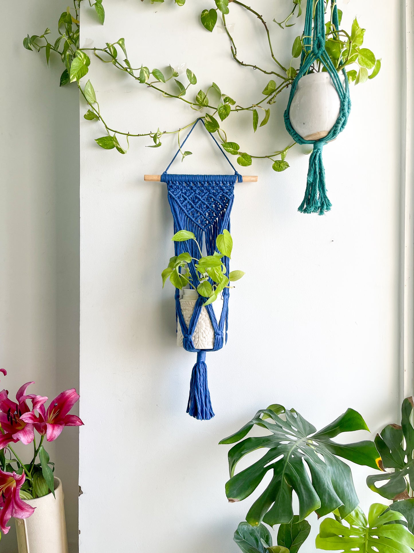 Macrame Wall Plant Hanger