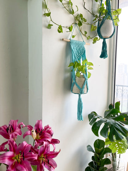 Macrame Wall Plant Hanger