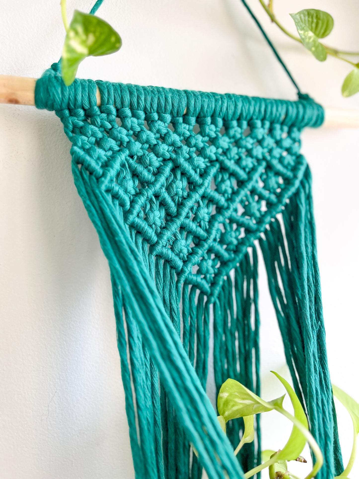 Macrame Wall Plant Hanger