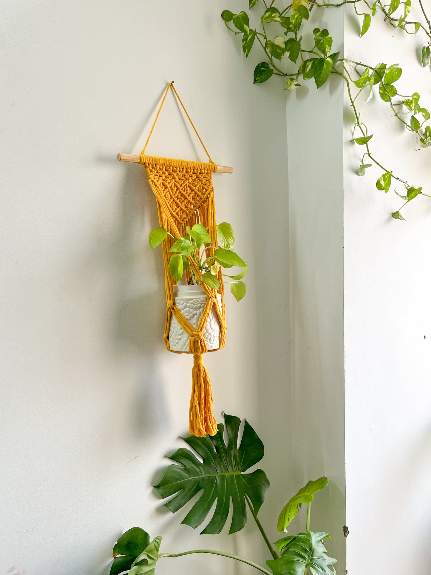 Macrame Wall Plant Hanger