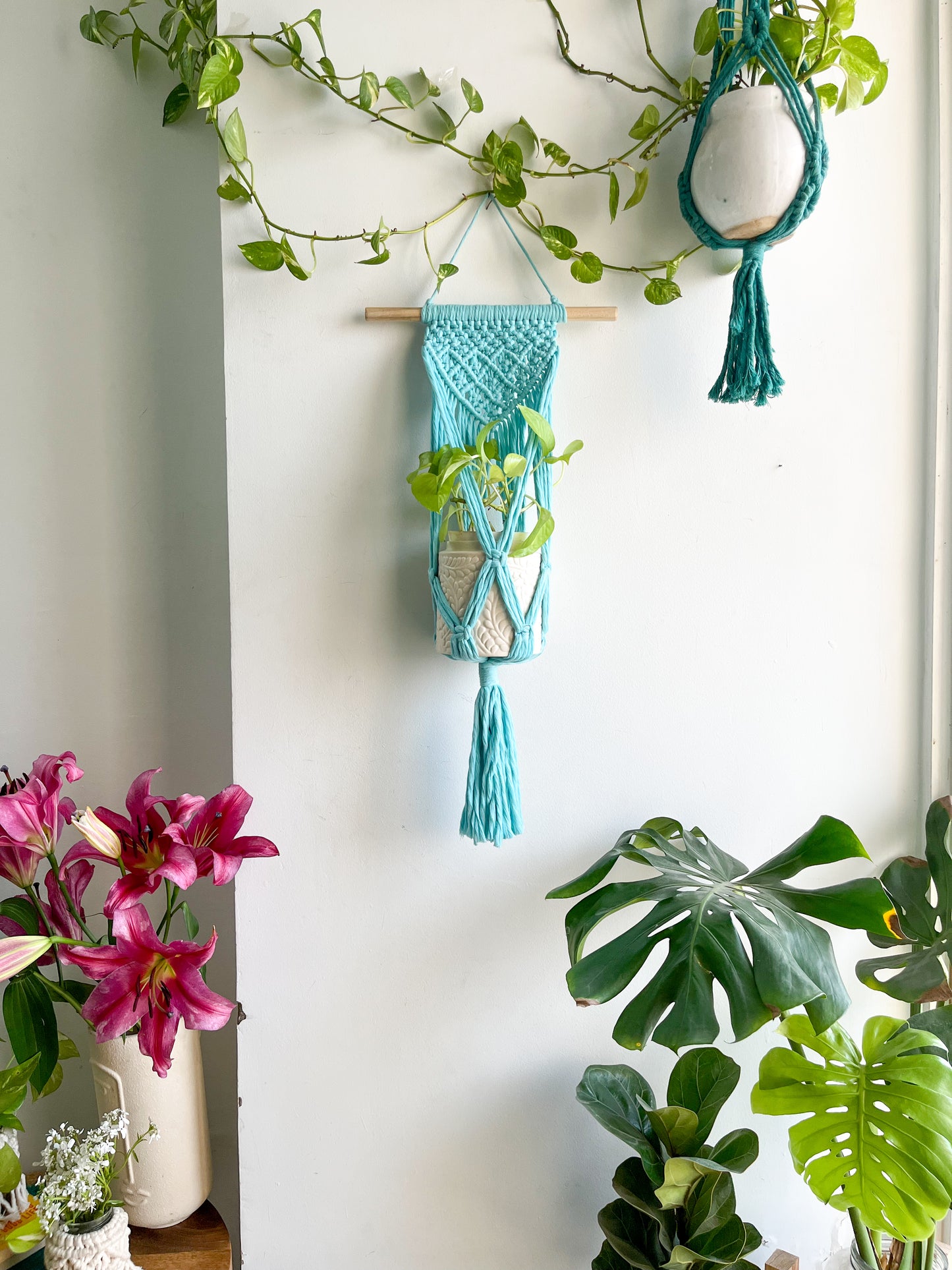 Macrame Wall Plant Hanger