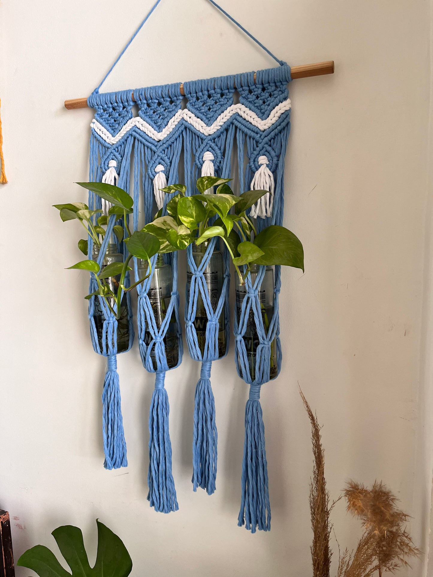 Macrame Propagation Centre