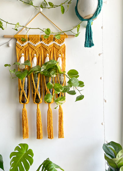 Macrame Propagation Centre