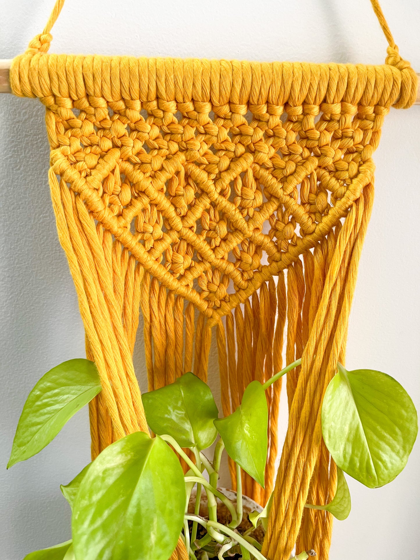 Macrame Wall Plant Hanger