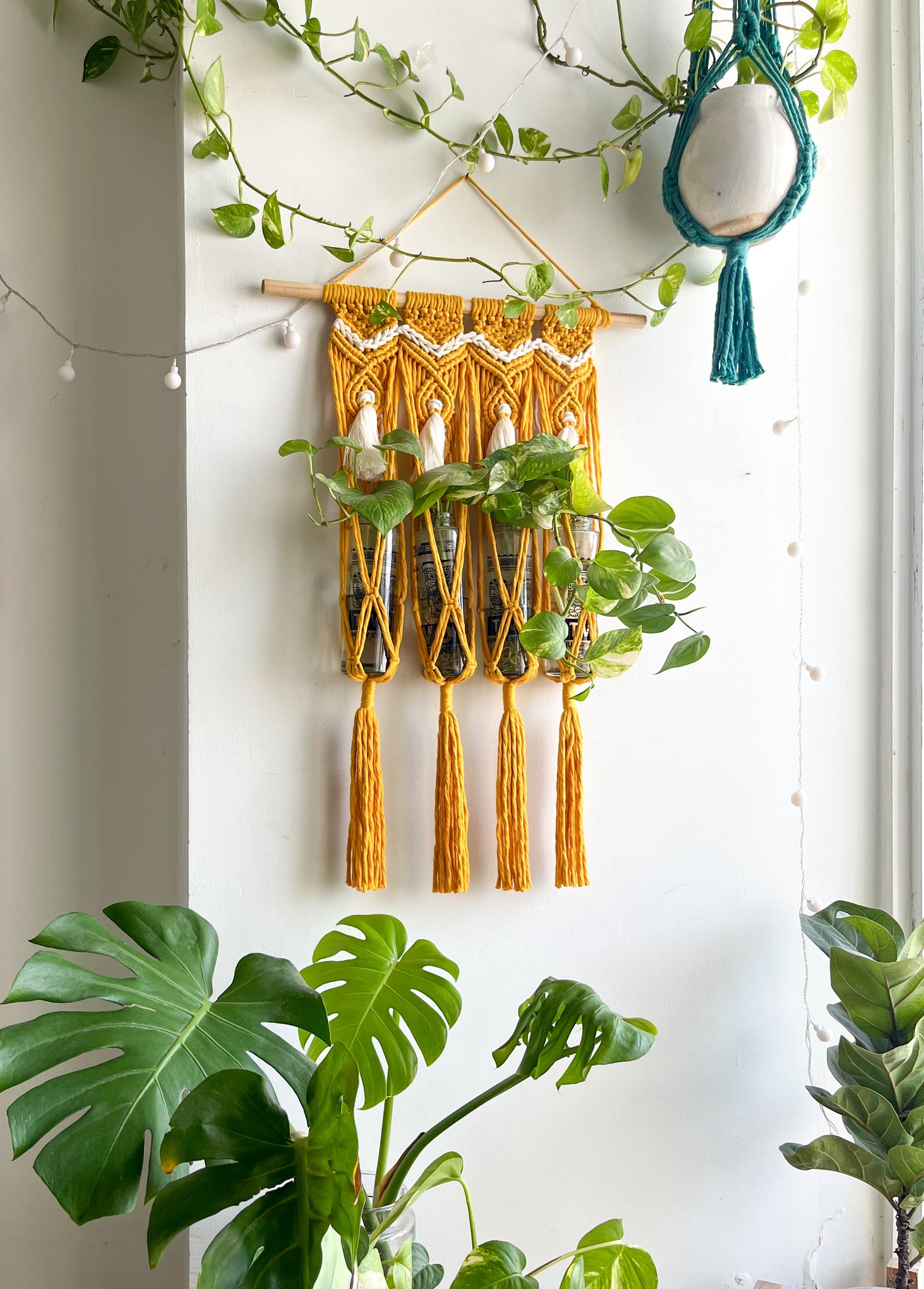 Macrame Propagation Centre