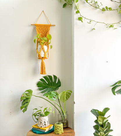 Macrame Wall Plant Hanger