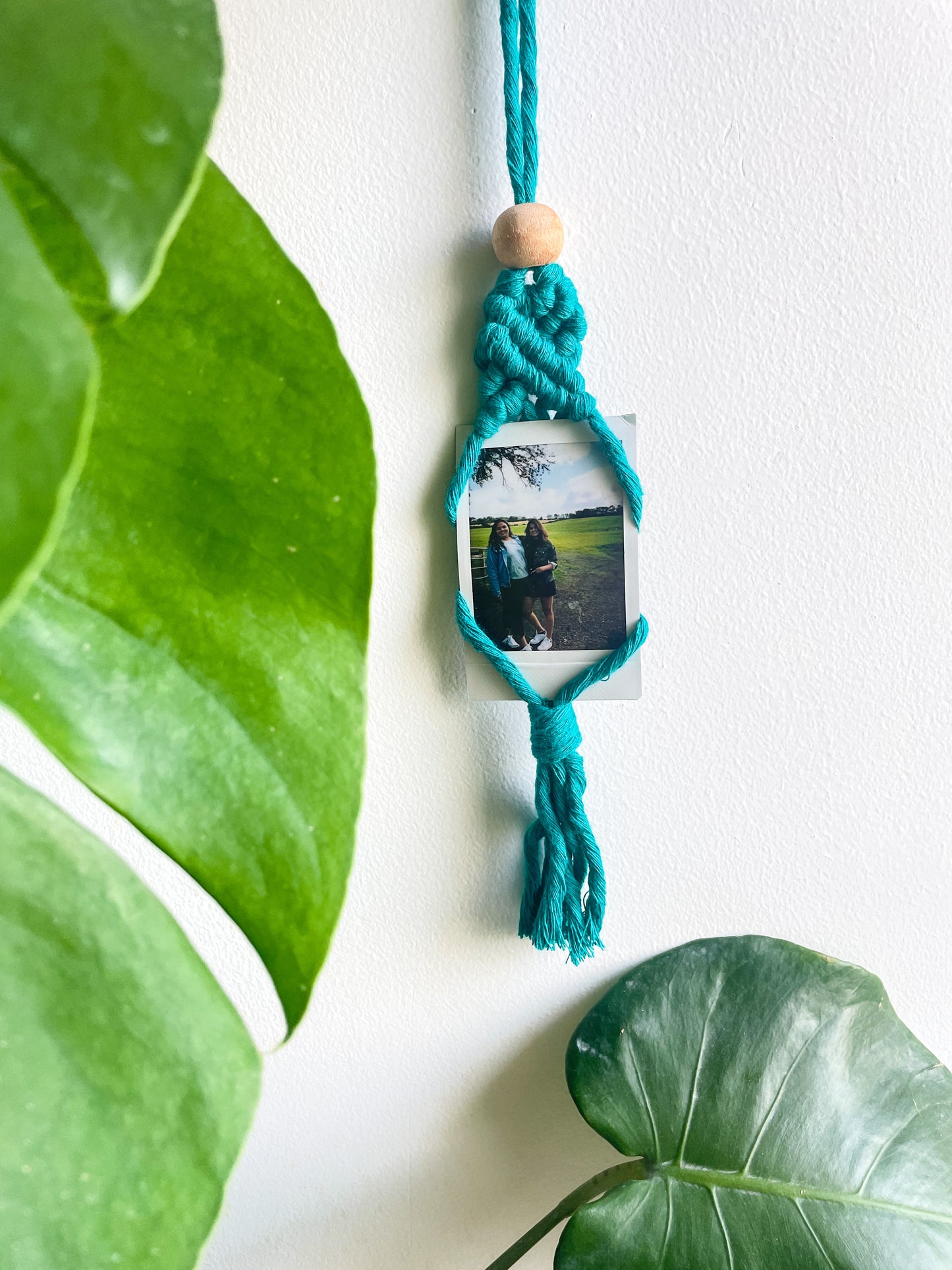 Polaroid picture hanger