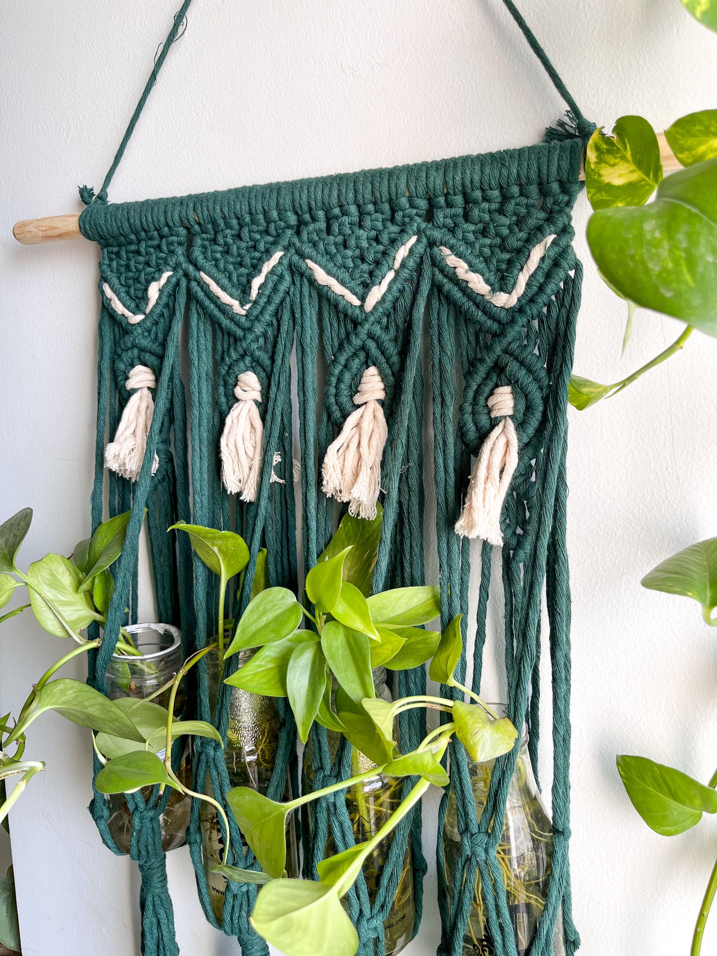 Macrame Propagation Centre