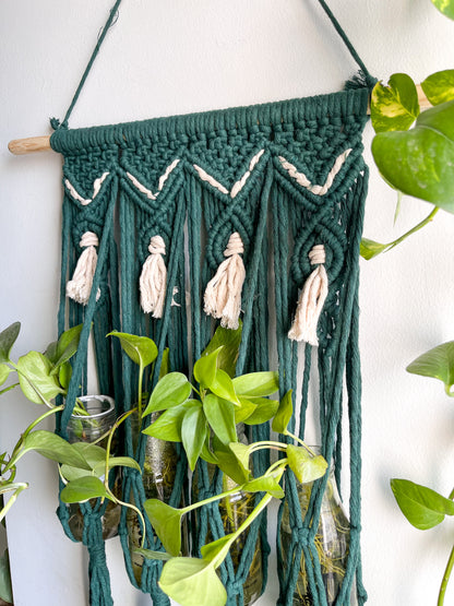 Macrame Propagation Centre