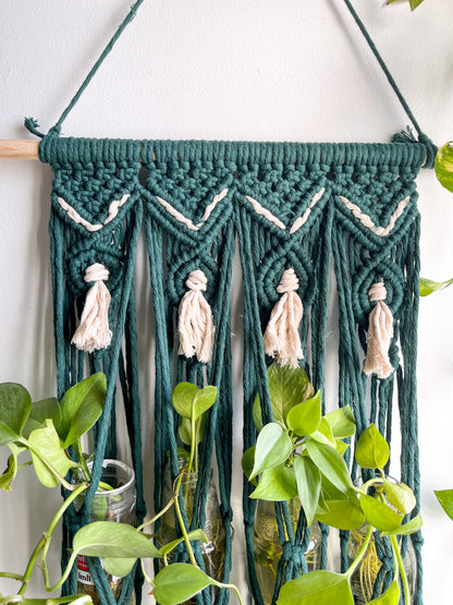 Macrame Propagation Centre