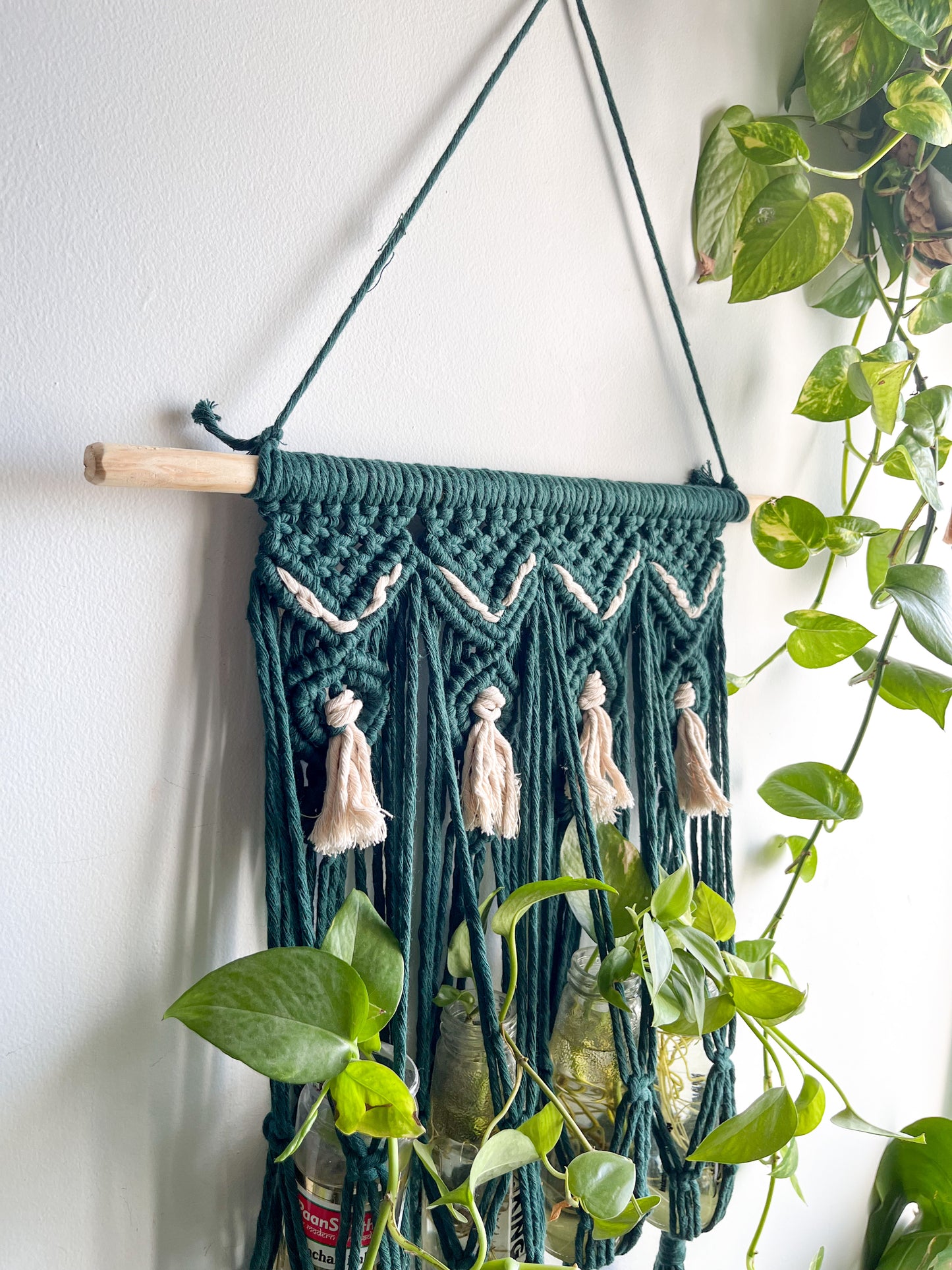 Macrame Propagation Centre