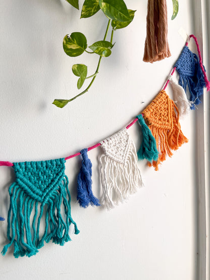 Macrame tassel garland/Bunting