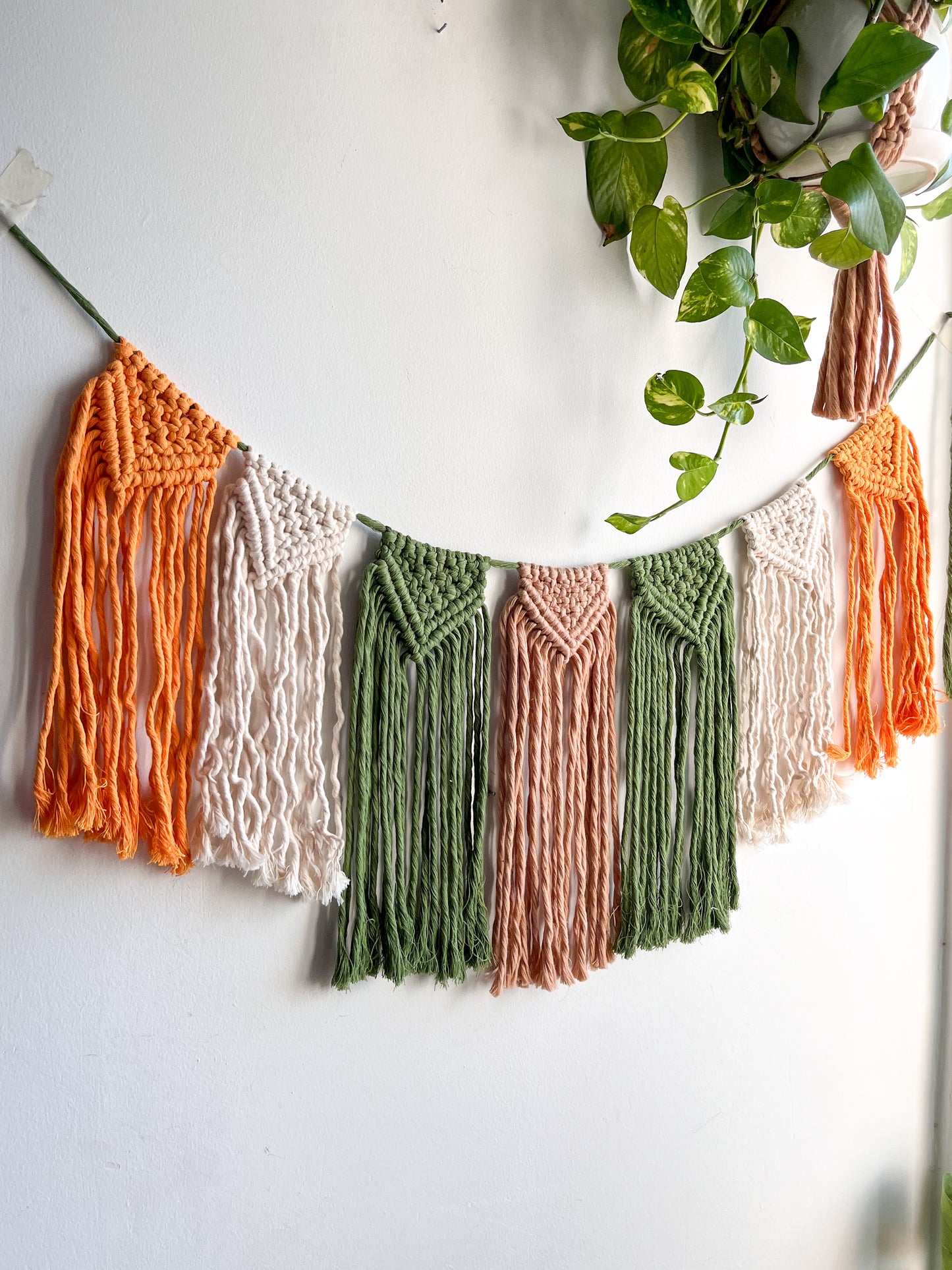 Macrame tassel garland/Bunting