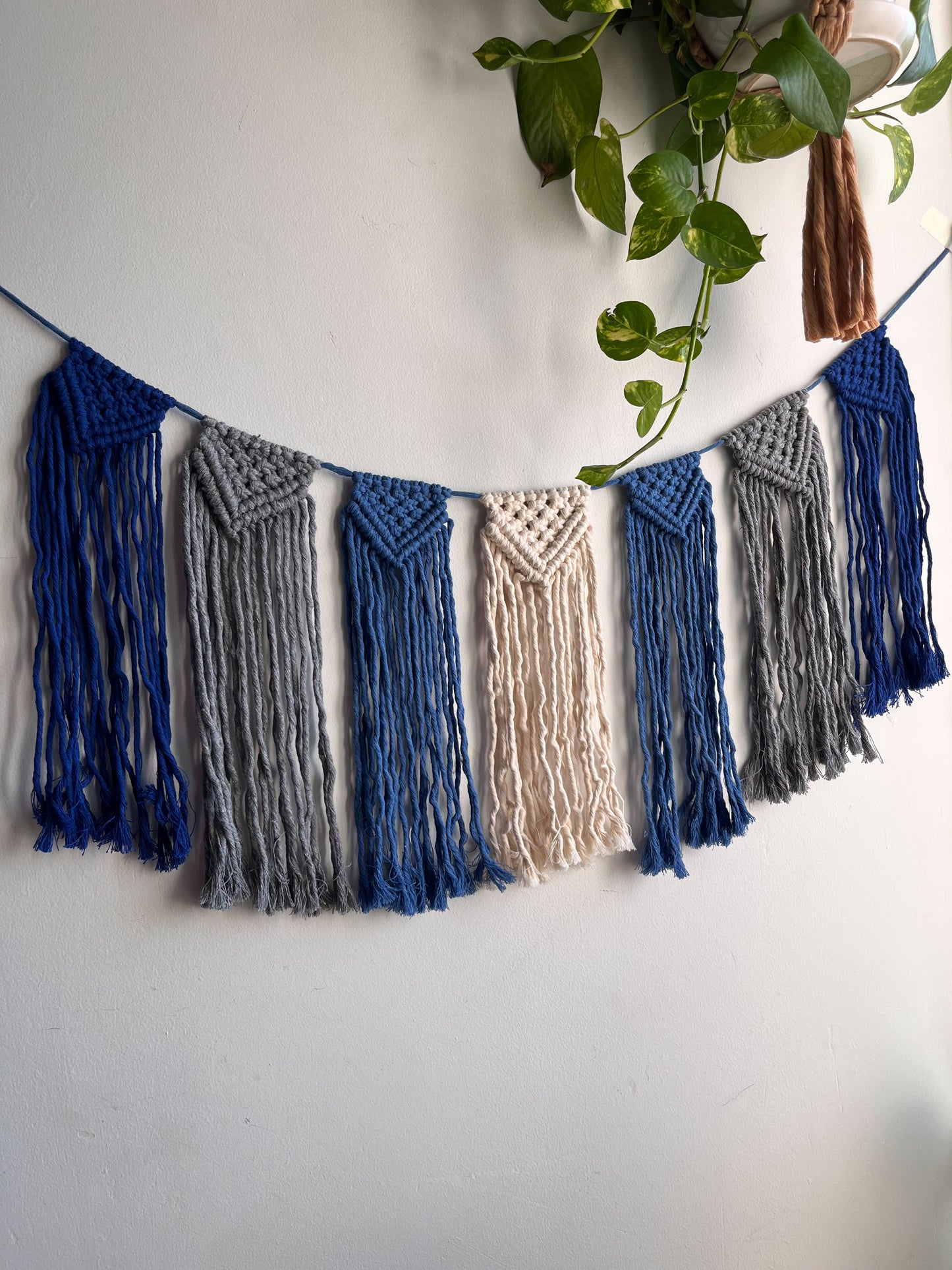 Macrame Bunting/Garland