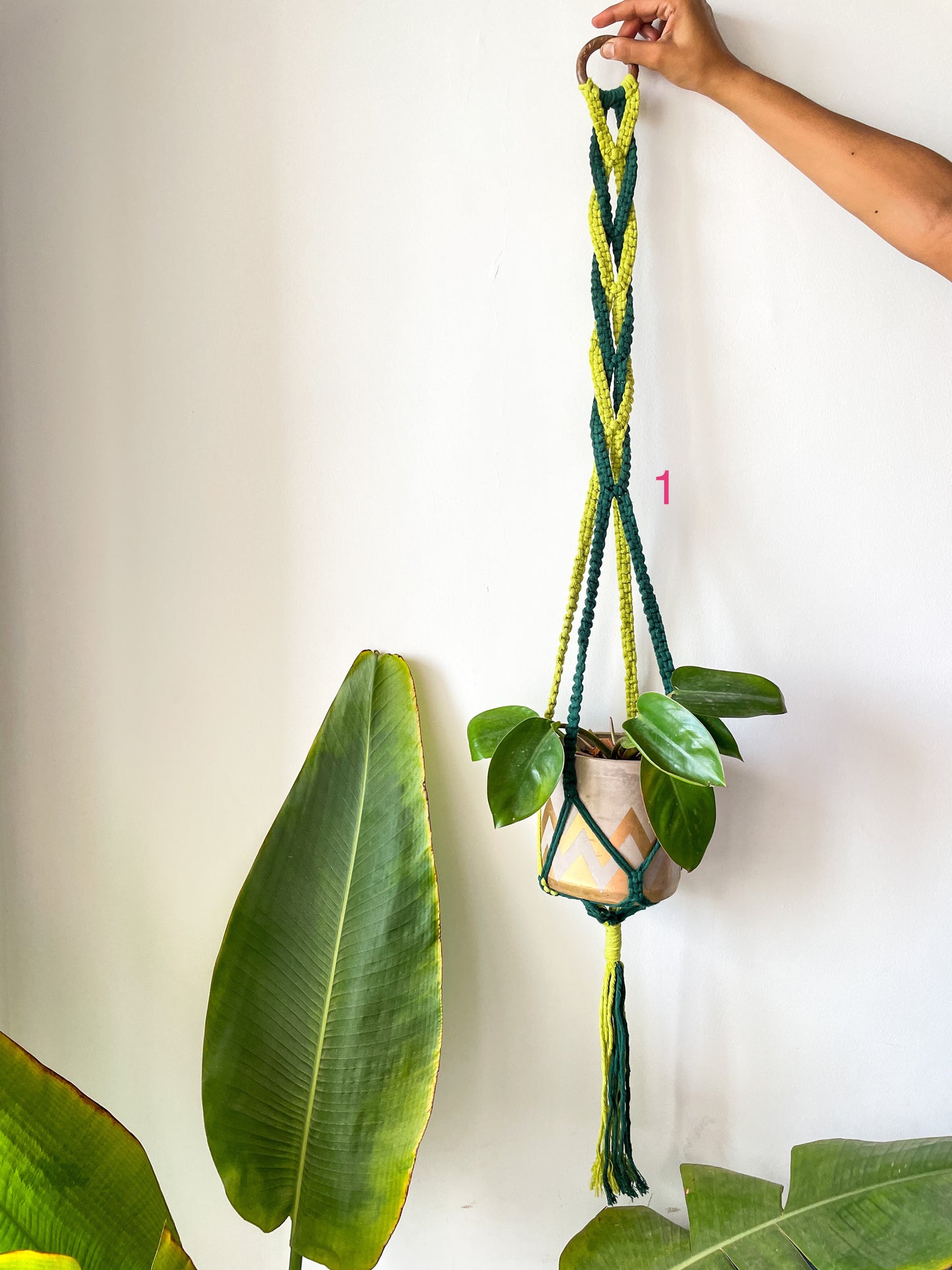 DNA Macrame Planter Hanger