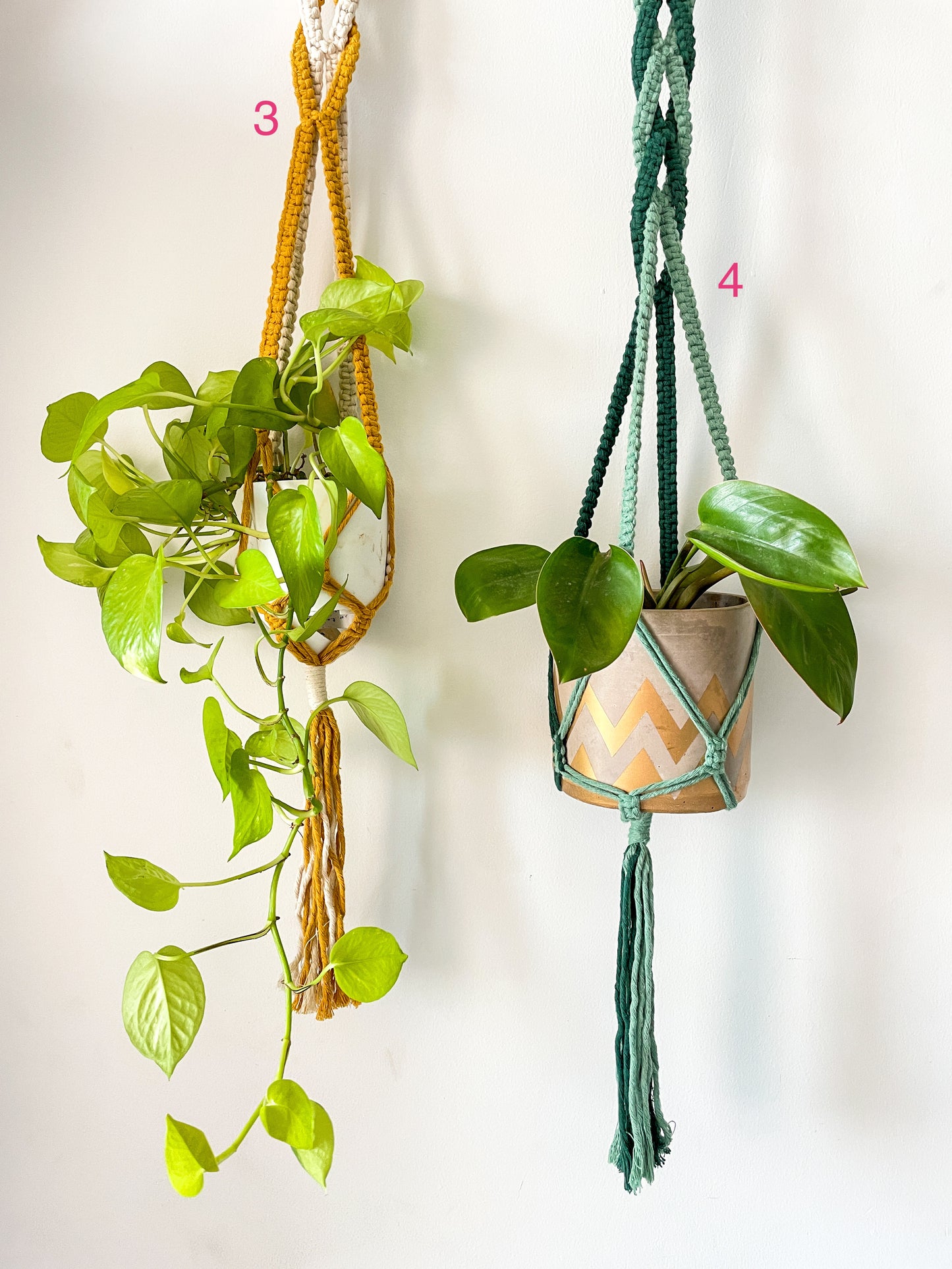 DNA Macrame Planter Hanger