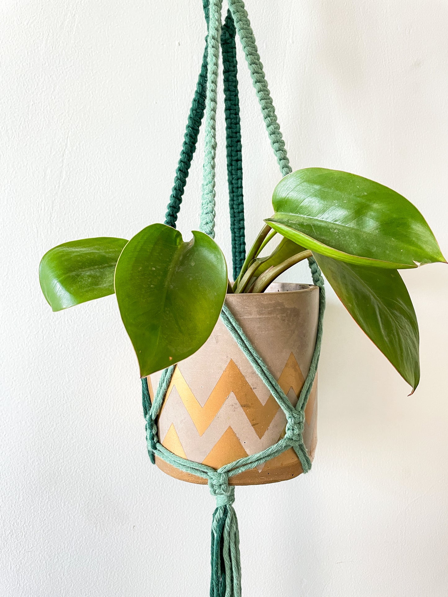 DNA Macrame Planter Hanger